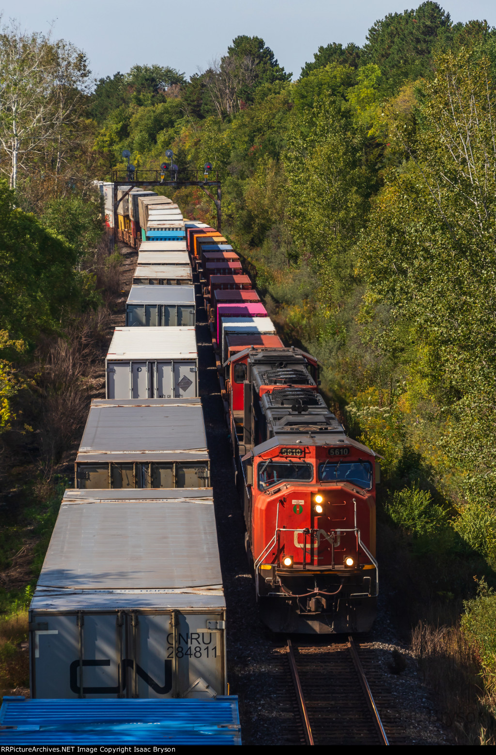 CN 5610